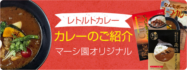 カレーのご紹介